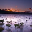 Wugu Wetlands - Taiwan Sunrise