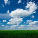Prairie Skies