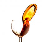 The liquid tongue