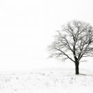 winter loneliness