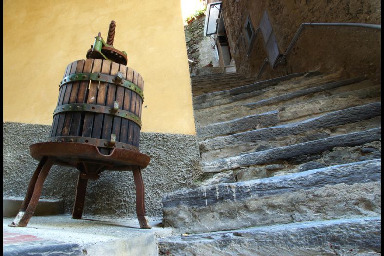 vernazza