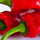 Cubanelle Peppers