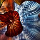 Chihuly Glass