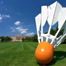 Shuttlecock on the Lawn