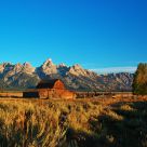 Mormon Row at first light