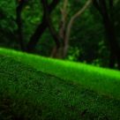 The Slope