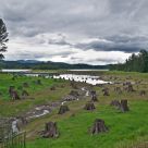 Alder Lake