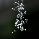 Bubbles