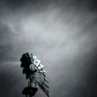 Prairie Storm