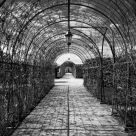 Symmetry