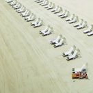 Dubai Sunbathing