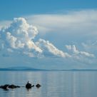 Huvsgul lake