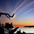 Coastal Silhouette
