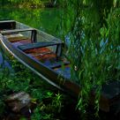 The Calm