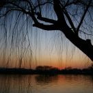 Shichahai Dusk - Beijing, China ä»€å‰Žæµ·å¤•é™½