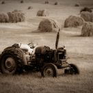 Field Worker
