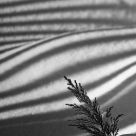Winter shadows