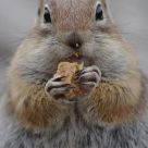 Saving up for the Winter