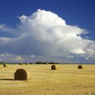 Thunderhead over hay field