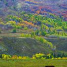 A farm in autum