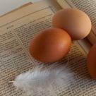 Three Eggs and an Ancient Cookbook