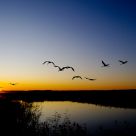 FLY TO SUN