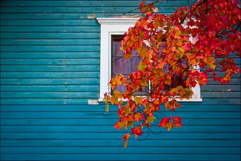 Cottage Color