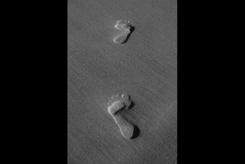 Sand Prints