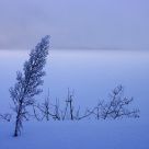 Hiver