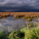 Awaiting the Storm