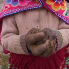 HArd Working HAnds