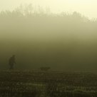 Morning walk