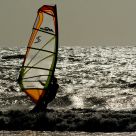 Windsurfer