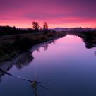 Pink Sunrise