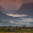 Early Fog