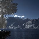 Vevey