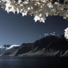 Vevey