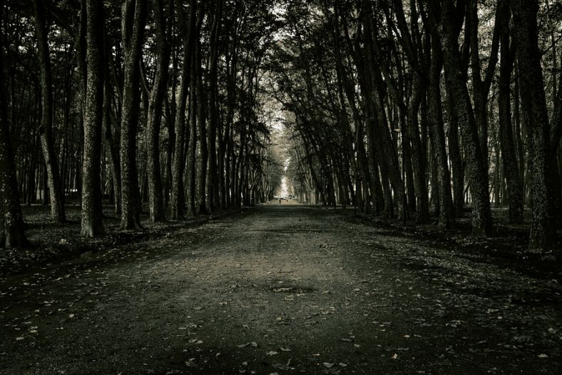Seeing The Light