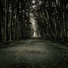 Seeing The Light