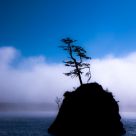 Solitude