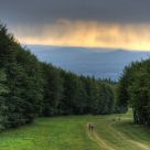 Before the storm