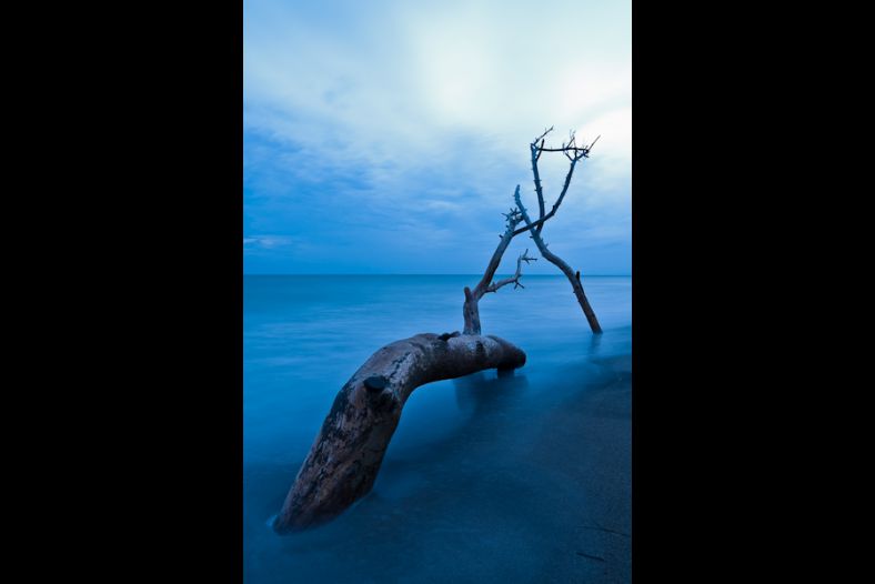 Balance