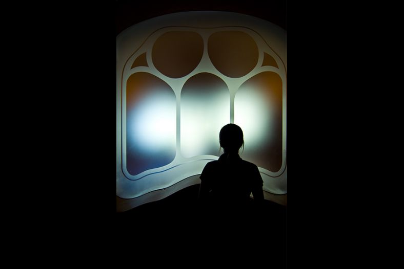 Back light