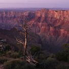 The Grand Canyon