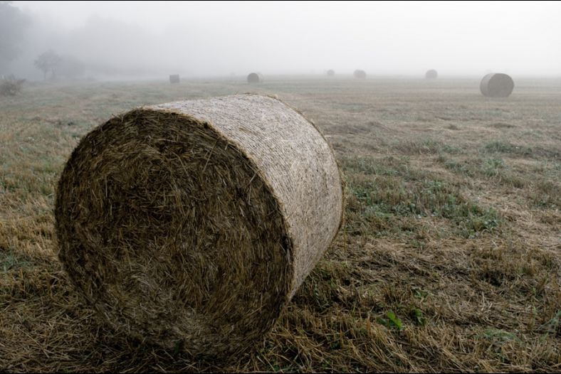 Autumn baling