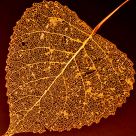 Signs of autumn