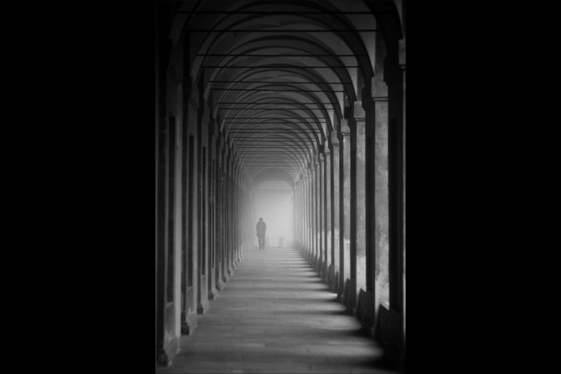 Fog
