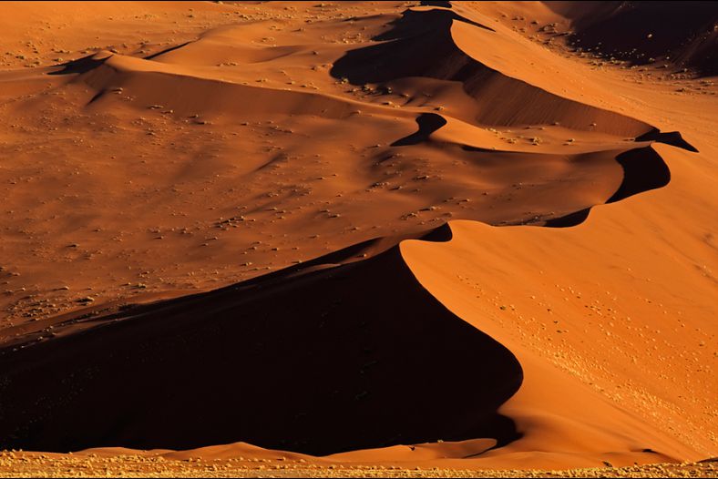 Sanddunes #3