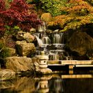 Fall in Kyoto gardens