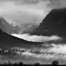 Through the Mist